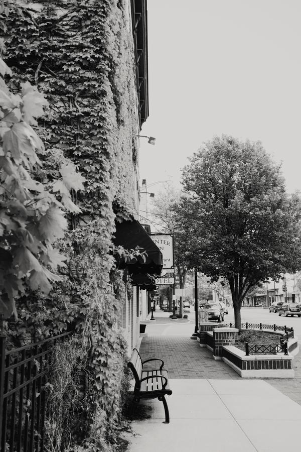 The Winter Inn Greenville Exterior photo